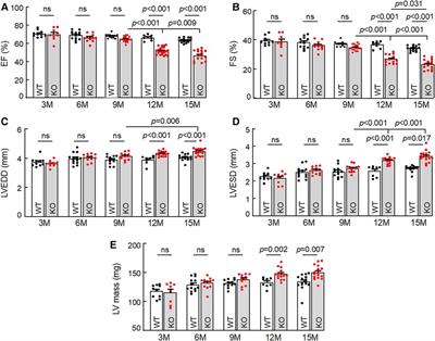 Corin deficiency impairs cardiac function in mouse models of heart failure